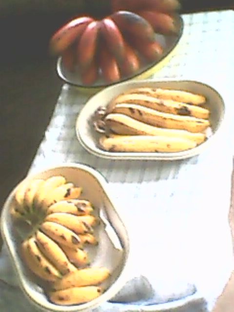 Casa Km. 95.5 carretera La Paz Caranavi, Tunahuarca, a 2.5 Km de Yolosita Foto 15