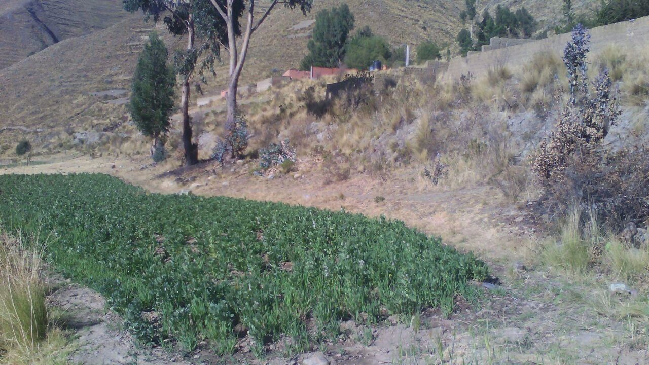 Terreno en Pampahasi en La Paz    Foto 4