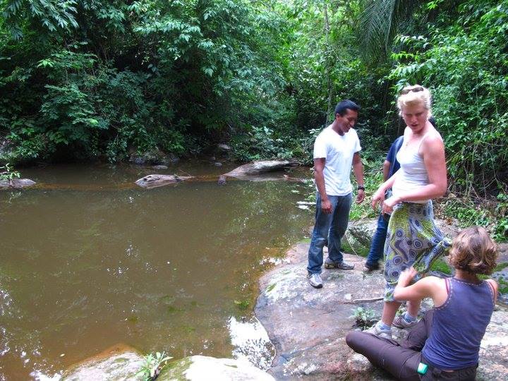 Terreno en VentaAlto Beni a 15 minutos del municipio de Palos Blancos en el Km 7, camino a Inicua Foto 5