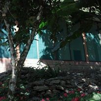 Casa Km. 95.5 carretera La Paz Caranavi, Tunahuarca, a 2.5 Km de Yolosita Foto 4