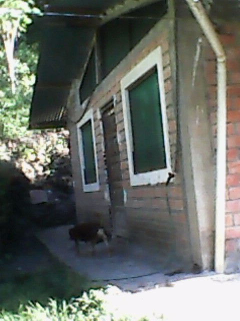 Casa Km. 95.5 carretera La Paz Caranavi, Tunahuarca, a 2.5 Km de Yolosita Foto 1