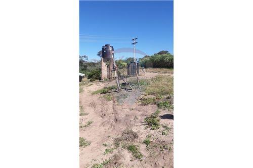 Terreno en Doble vía La Guardia en Santa Cruz de la Sierra 5 dormitorios 3 baños  Foto 14
