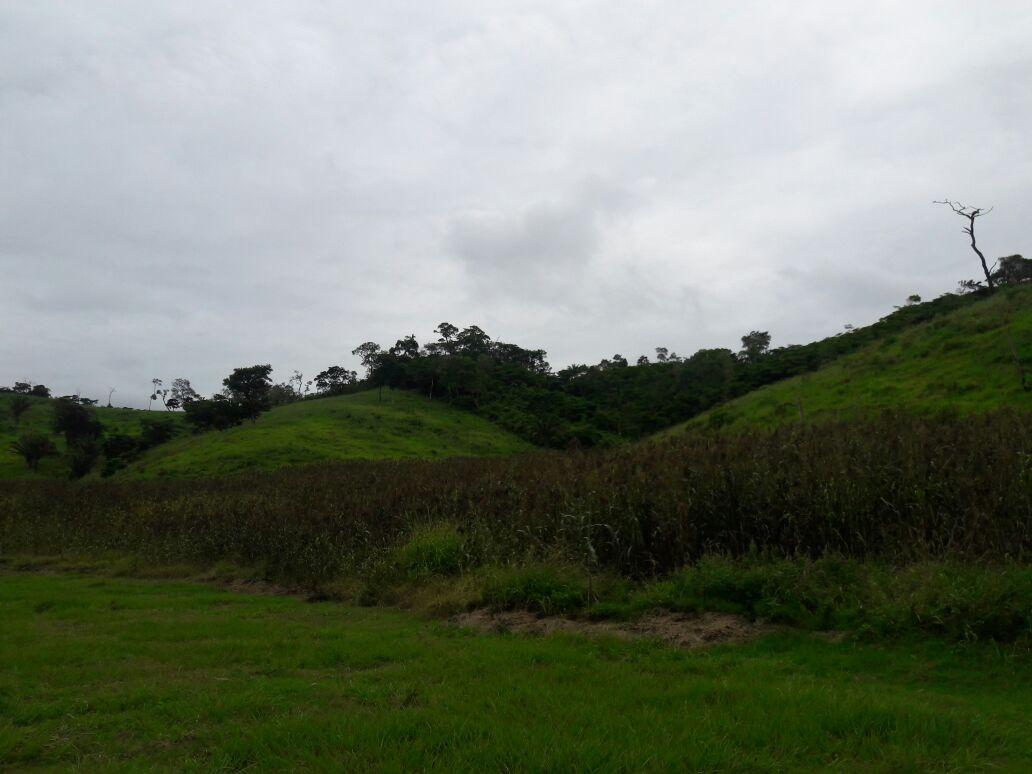 Terreno en VentaHermosa propiedad ubicada en cantón Peji    Foto 7