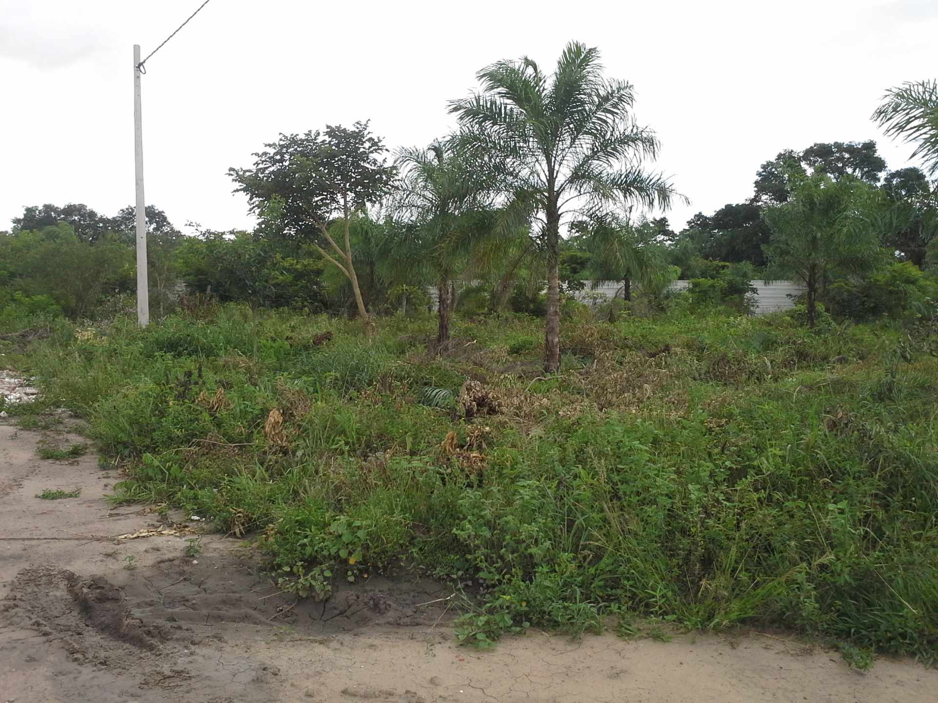 Terreno Pentaguazu II, UV 107, M19, lote 1, Warnes, Santa Cruz Foto 4