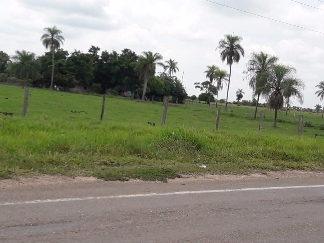 Terreno en VentaWarnes    Foto 3