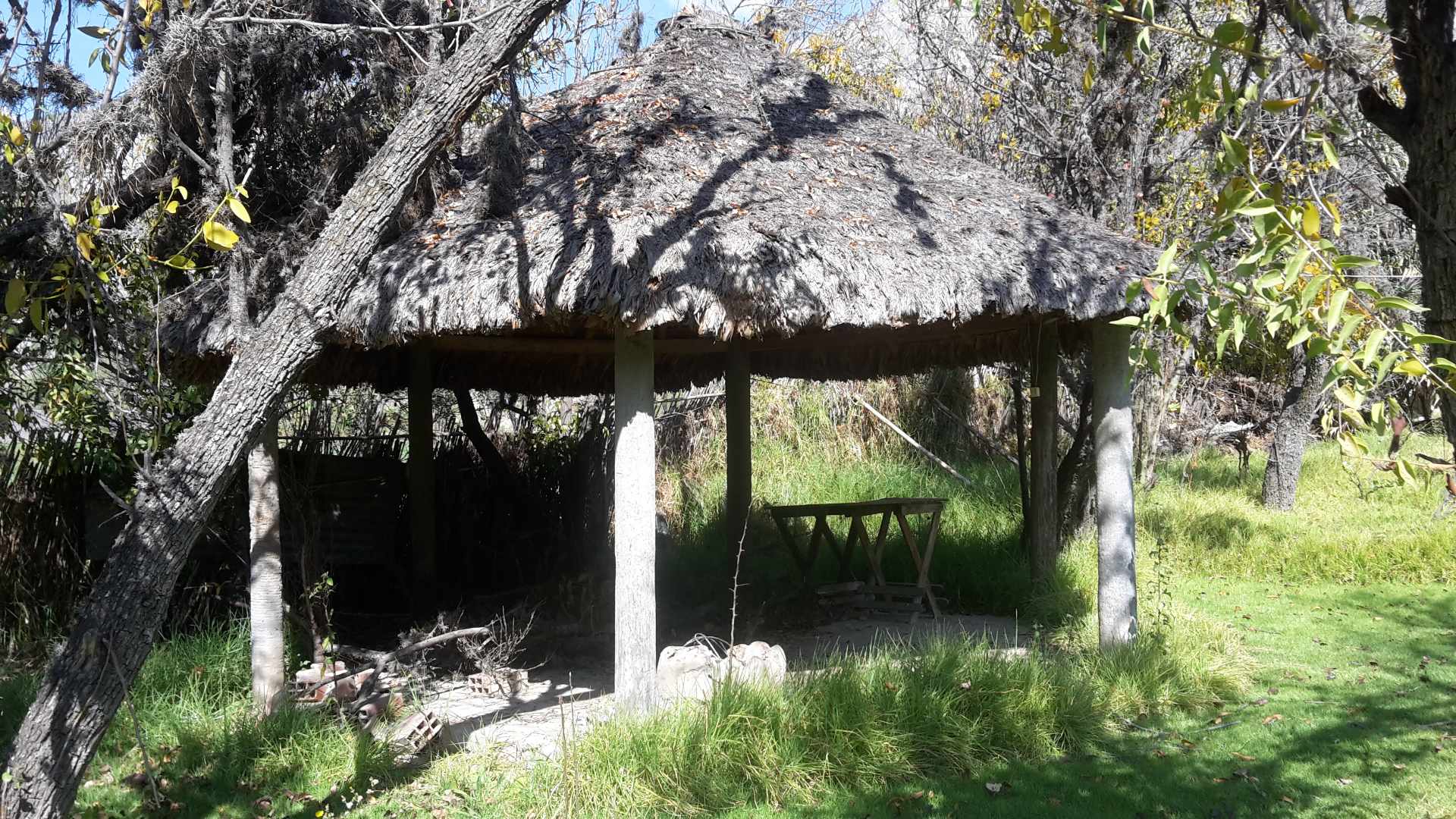 Casa EL PALOMAR Casa de Campo con arboles frutales a 50 minutos de la Zona Sur Foto 2