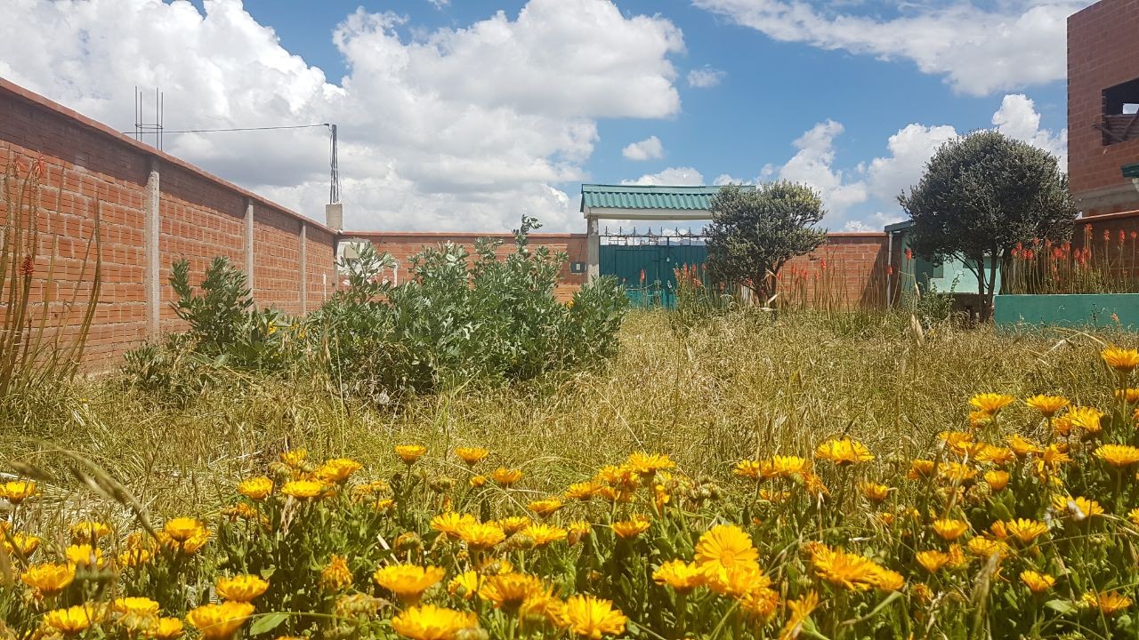 Casa en VentaCasa en Venta en el poblado de TIWANAKU - Tiahuanaco 3 dormitorios 1 baños 3 parqueos Foto 3