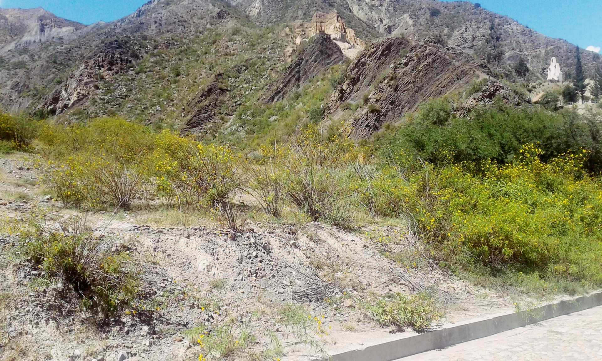 Terreno en VentaZona Carreras y Huajchilla Foto 5