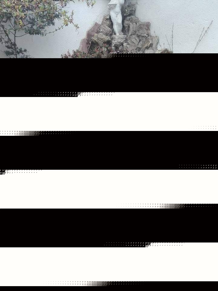 Casa Achumani calle 9 Foto 17