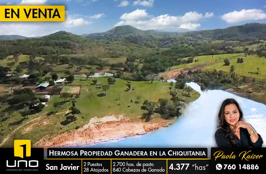 Quinta propiedad agrícola en VentaSOBRE CARRETERA A SAN JAVIER Foto 1