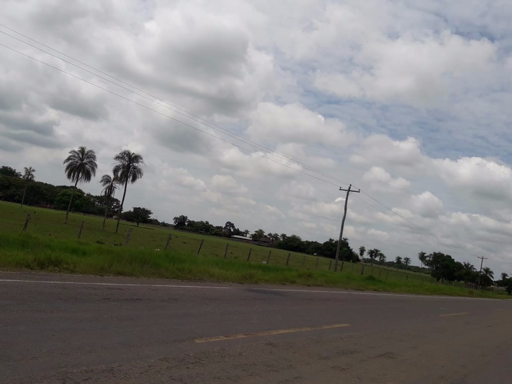 Terreno en VentaWarnes    Foto 5