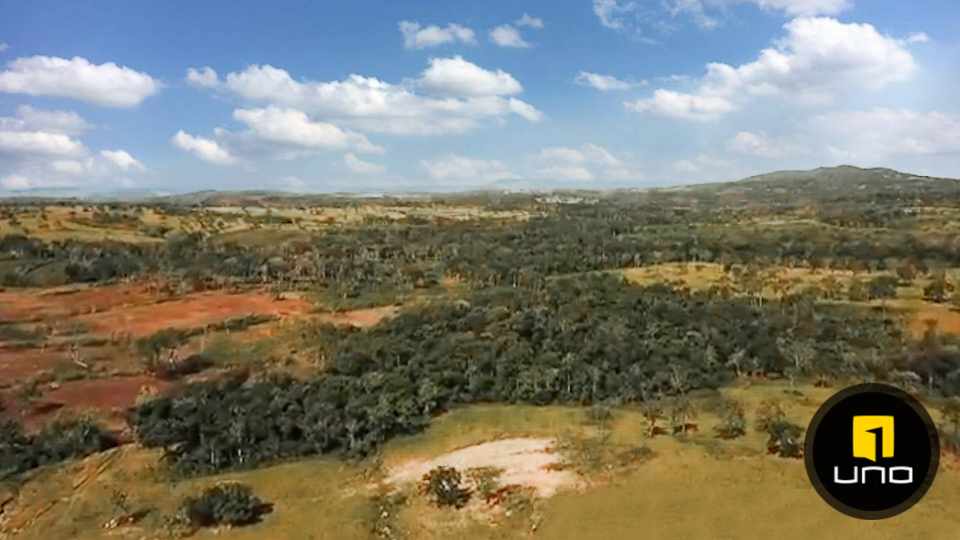 Quinta propiedad agrícola en VentaSOBRE CARRETERA A SAN JAVIER Foto 11