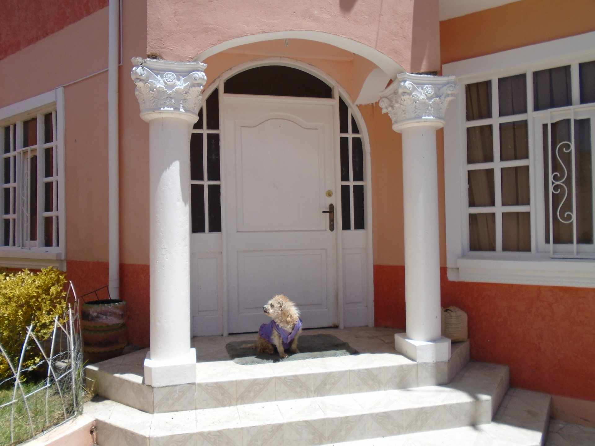 Casa en Alto Irpavi en La Paz 6 dormitorios 5 baños 4 parqueos Foto 6