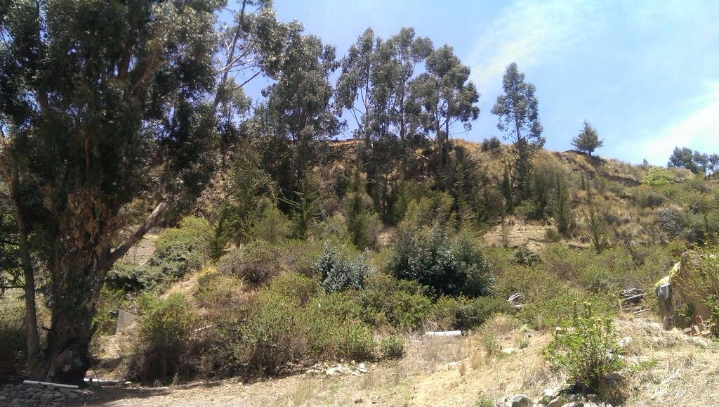 Terreno UBICACION: Zona Achumani, sector Huayllani, a una cuadra de la Av. Costanera (asfaltada), sobre parque, calle principal empedrada (próxima a asfaltarse). Foto 2