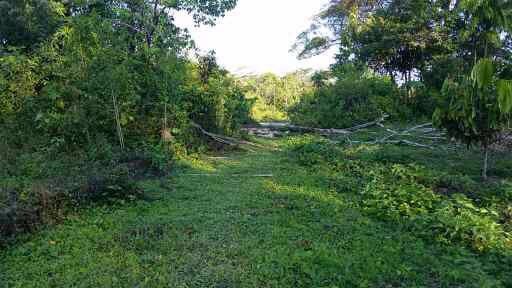 Terreno VILLA TUNARI Foto 1