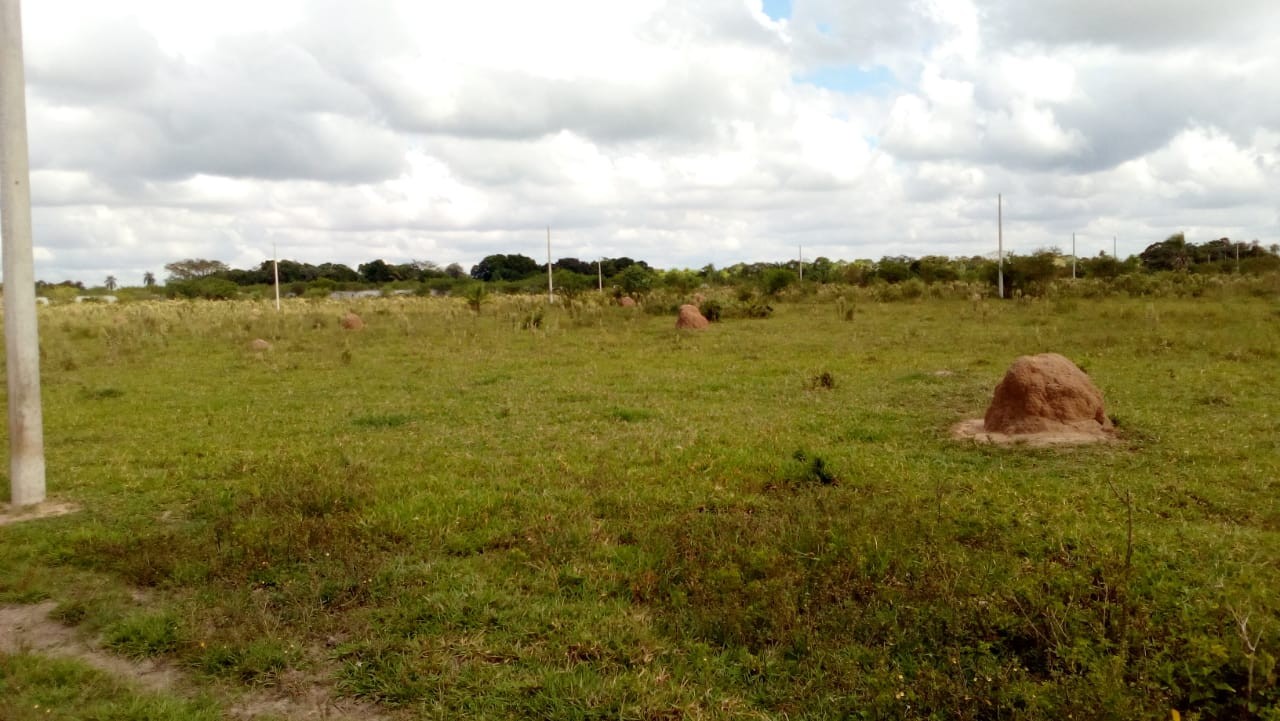 Terreno en VentaUrbanización Pentaguazu V Foto 5