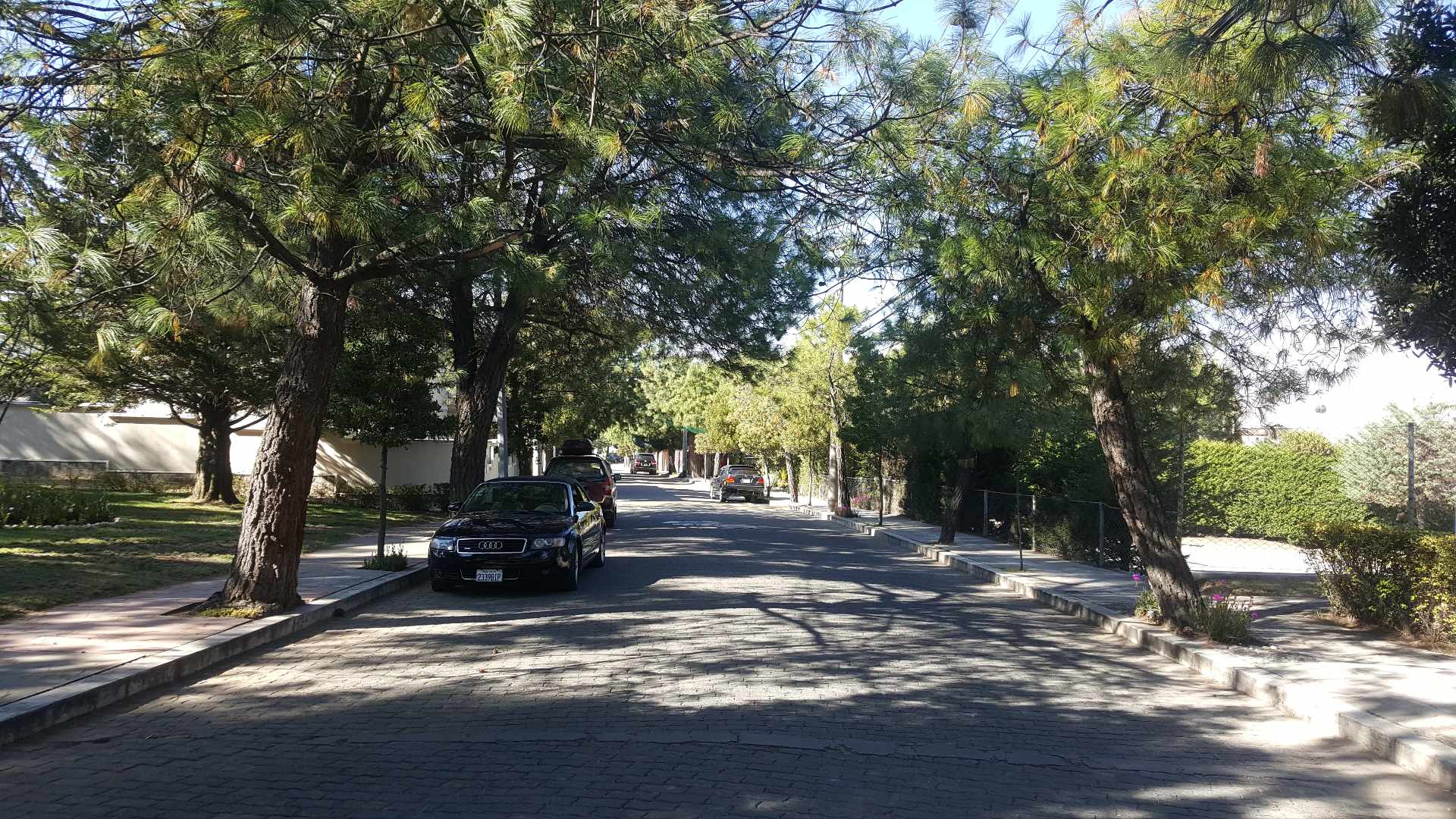 Departamento en VentaUrb. Priv. San Alberto. Bella Vista. Zona Sur. Edif. TABORGA II. 3 dormitorios 4 baños 1 parqueos Foto 11