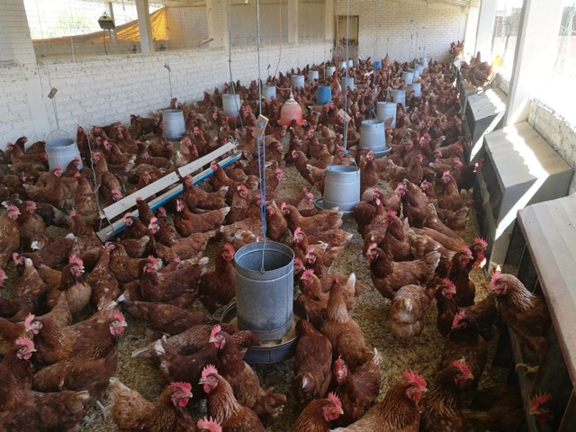 En Venta a $us 498,000 Foto 9