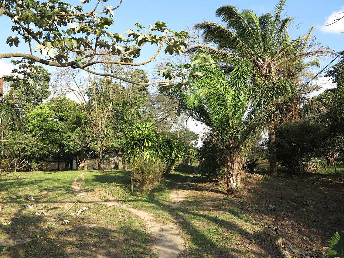 Quinta propiedad agrícola en VentaLa Guardia a 10 cuadras de la Doble vía la Guardia    Foto 6