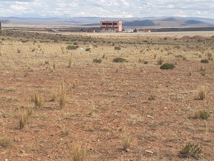 Terreno en VentaCARRETERA LA PAZ ORURO PASANDO LA APACHETA ANTES DE LLEGAR A LA TRANCA DE ACHICA ARRIBA MAZO CRUZ    Foto 4