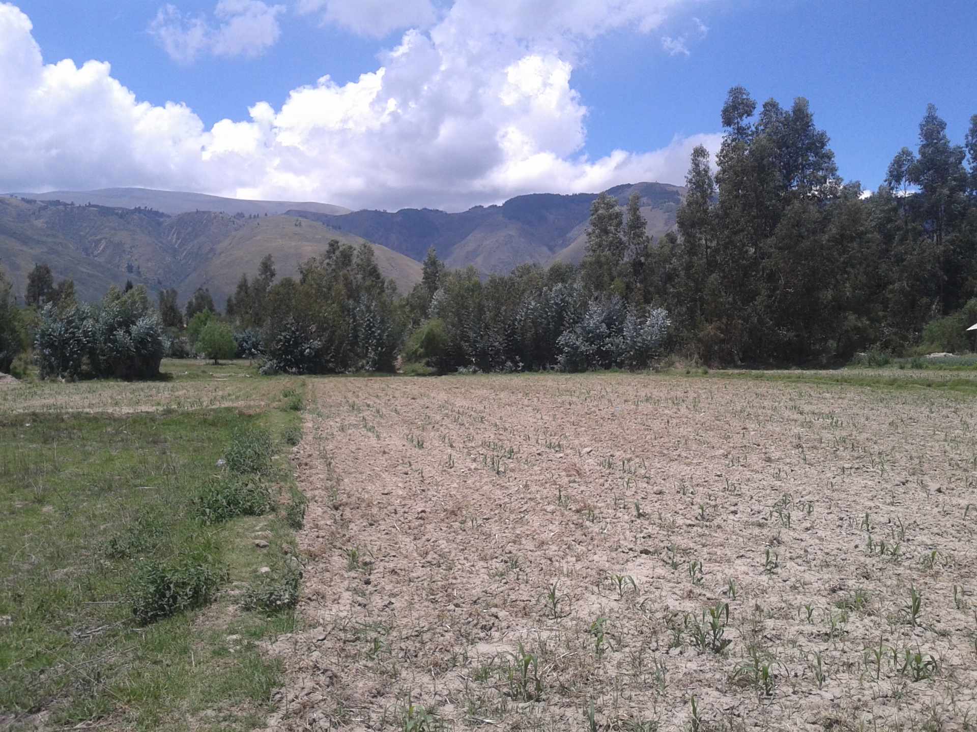 Terreno en Sacaba en Cochabamba    Foto 2