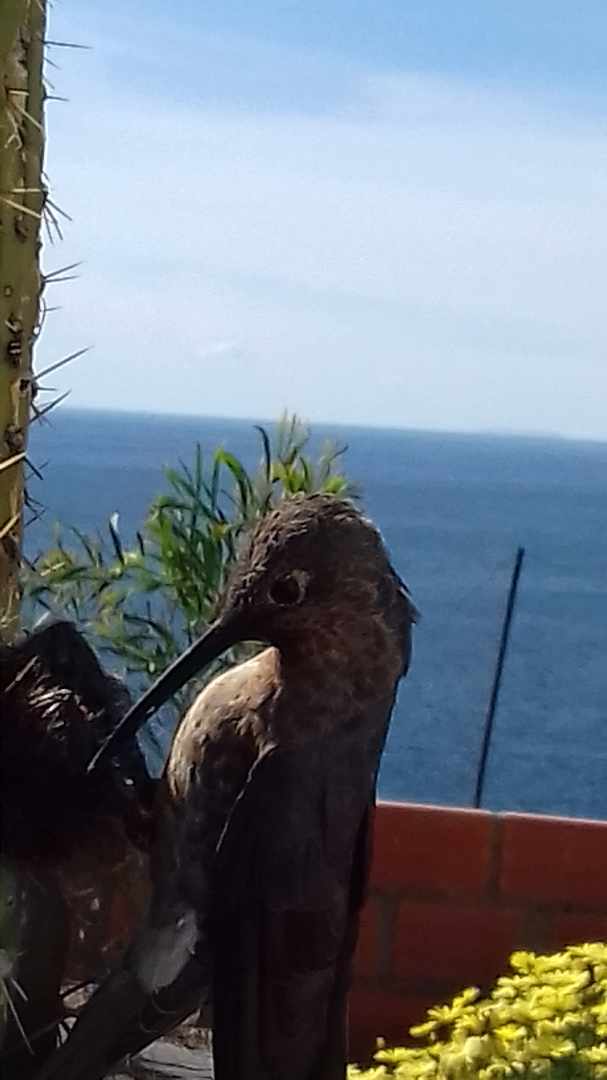 Casa Copacabana zona Bella Vista Foto 3