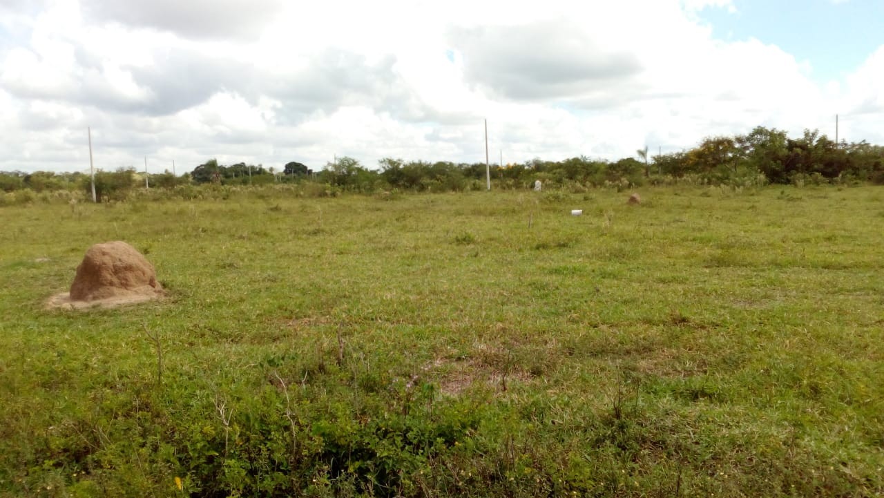 Terreno en VentaUrbanización Pentaguazu V Foto 4