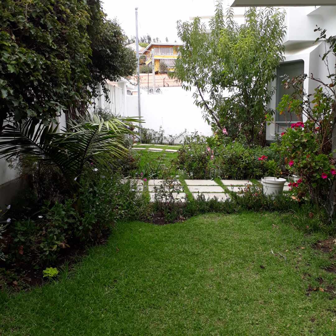 Casa en Achumani en La Paz 4 dormitorios 5 baños 3 parqueos Foto 6