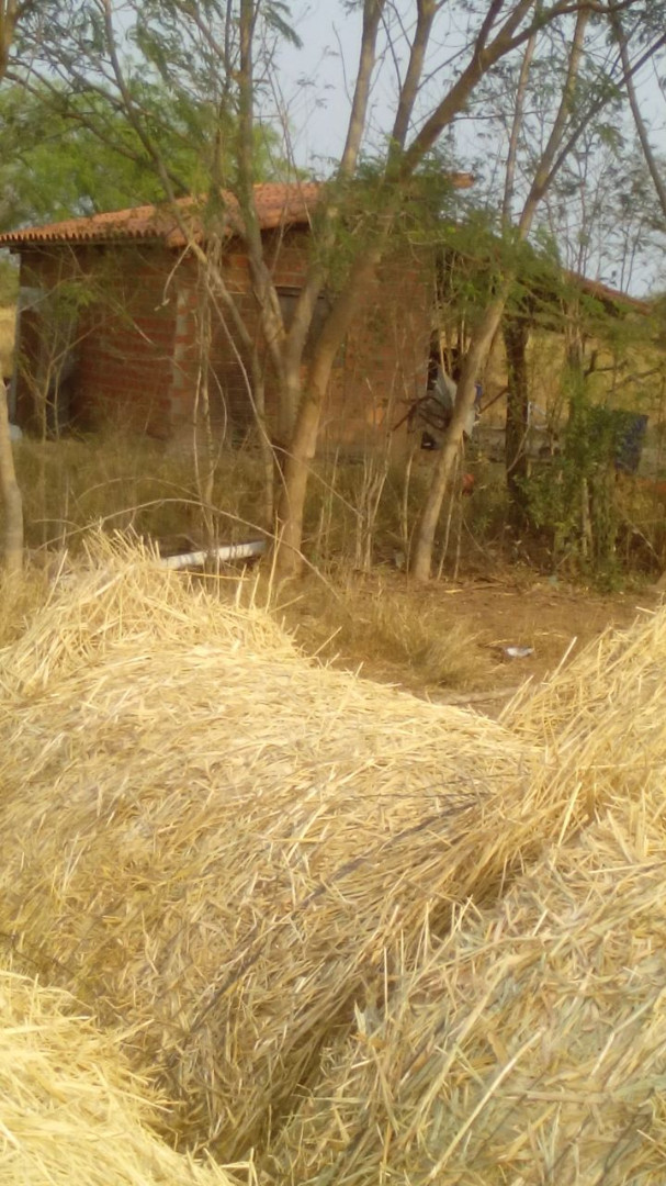 En Venta a $us 1,290,000 Foto 6