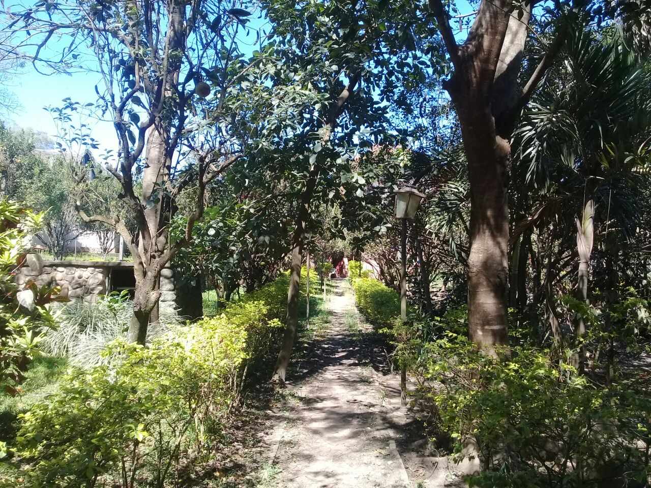 Terreno Preciosa Quinta en San José en venta.  Foto 7
