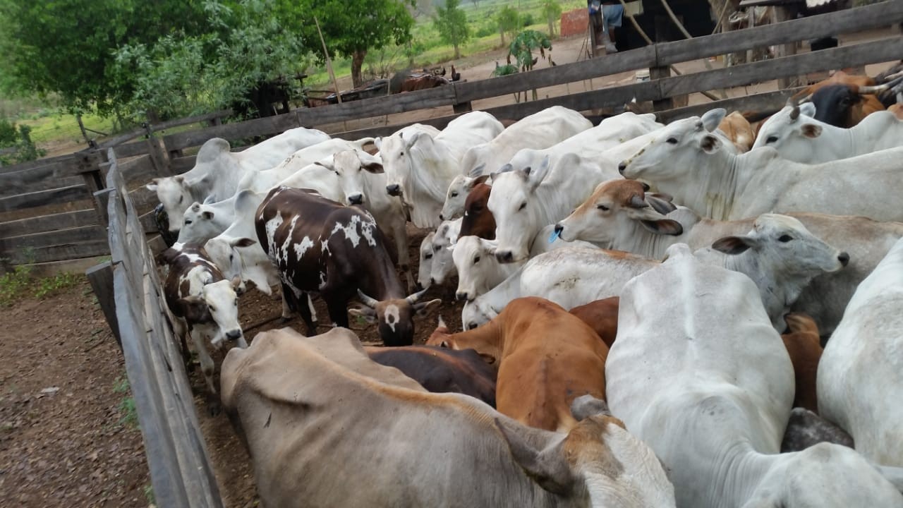 Terreno Abapo Foto 1