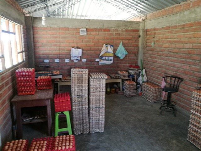 En Venta a $us 498,000 Foto 6