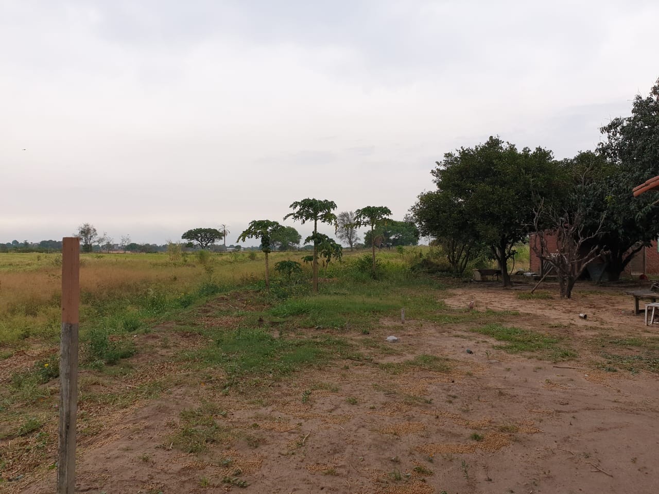 Terreno en VentaURBANIZACION ´´LA PASCANA`` SOBRE CARRETERA A PAURITO    Foto 6