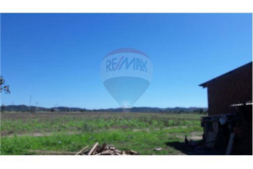 Terreno en Doble vía La Guardia en Santa Cruz de la Sierra 5 dormitorios 3 baños  Foto 10