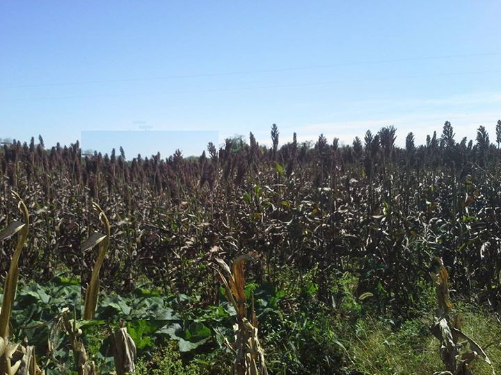 En Venta a $us 1,290,000 Foto 10