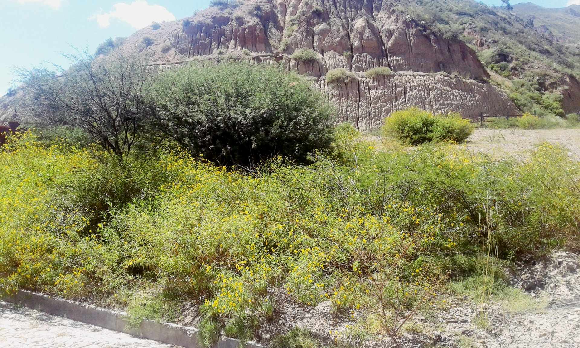 Terreno en VentaZona Carreras y Huajchilla Foto 17