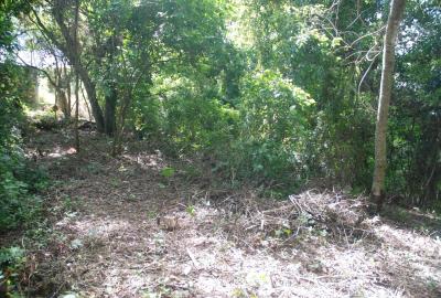 7709815e11d7fd77004a8ece9430c23d2d2be7