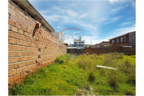 Terreno en Irpavi en La Paz    Foto 4