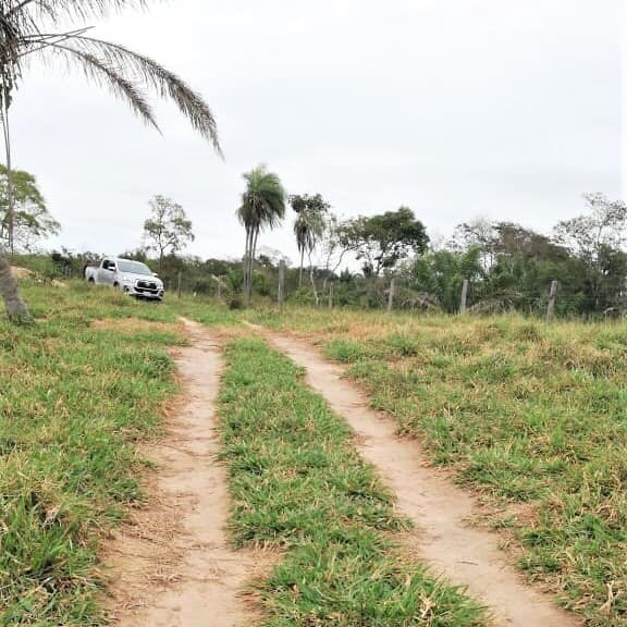 Terreno en Entre 7mo y 8vo anillo Norte en Santa Cruz de la Sierra    Foto 4