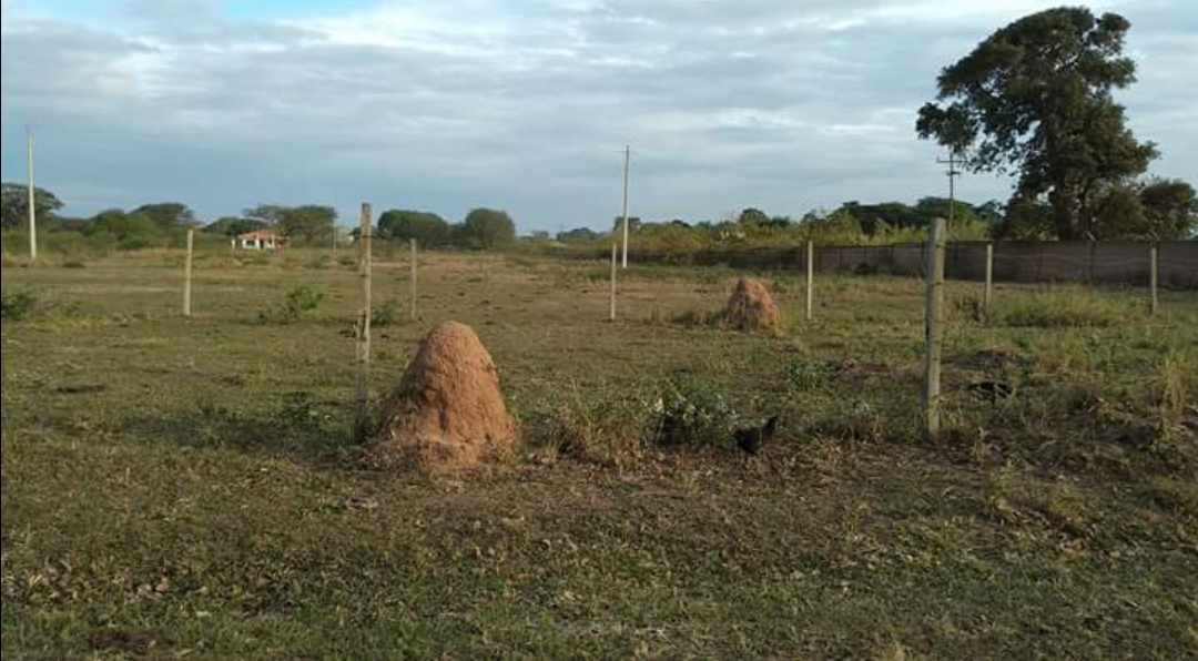Terreno Km. 11 Doble Vía a Cotoca URB. SAINT GEORGE  Foto 5