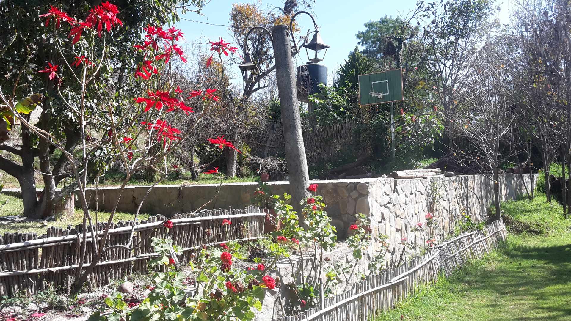 Casa EL PALOMAR Casa de Campo con arboles frutales a 50 minutos de la Zona Sur Foto 17