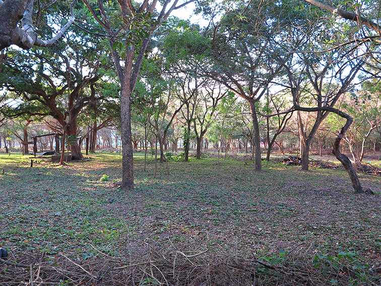 Quinta propiedad agrícola en VentaLa Guardia a 500 m de la Doble vía La Guardia Foto 7