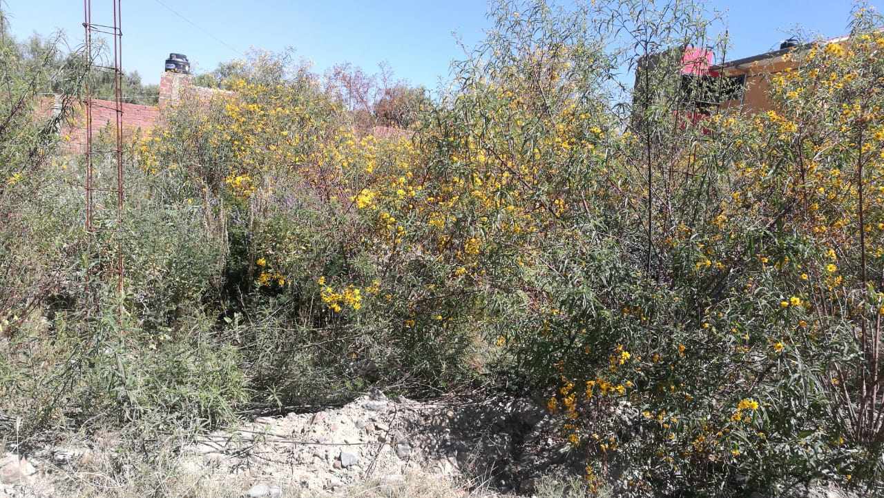 Terreno Zona Este, Huayllani Foto 2