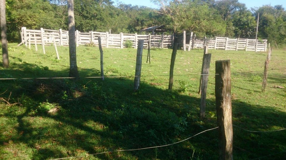 Quinta propiedad agrícola en VentaEL CARMEN RIVERO TORREZ Foto 3