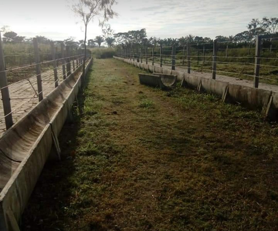 Quinta propiedad agrícola en VentaPASANDO  LA TRANCA DE MONTERO / PALOMETILLO Foto 4