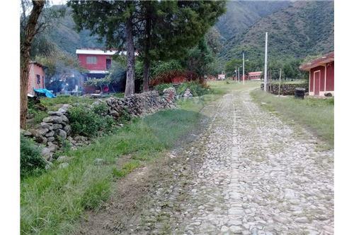 Terreno en Zona Campesino en Tarija    Foto 6