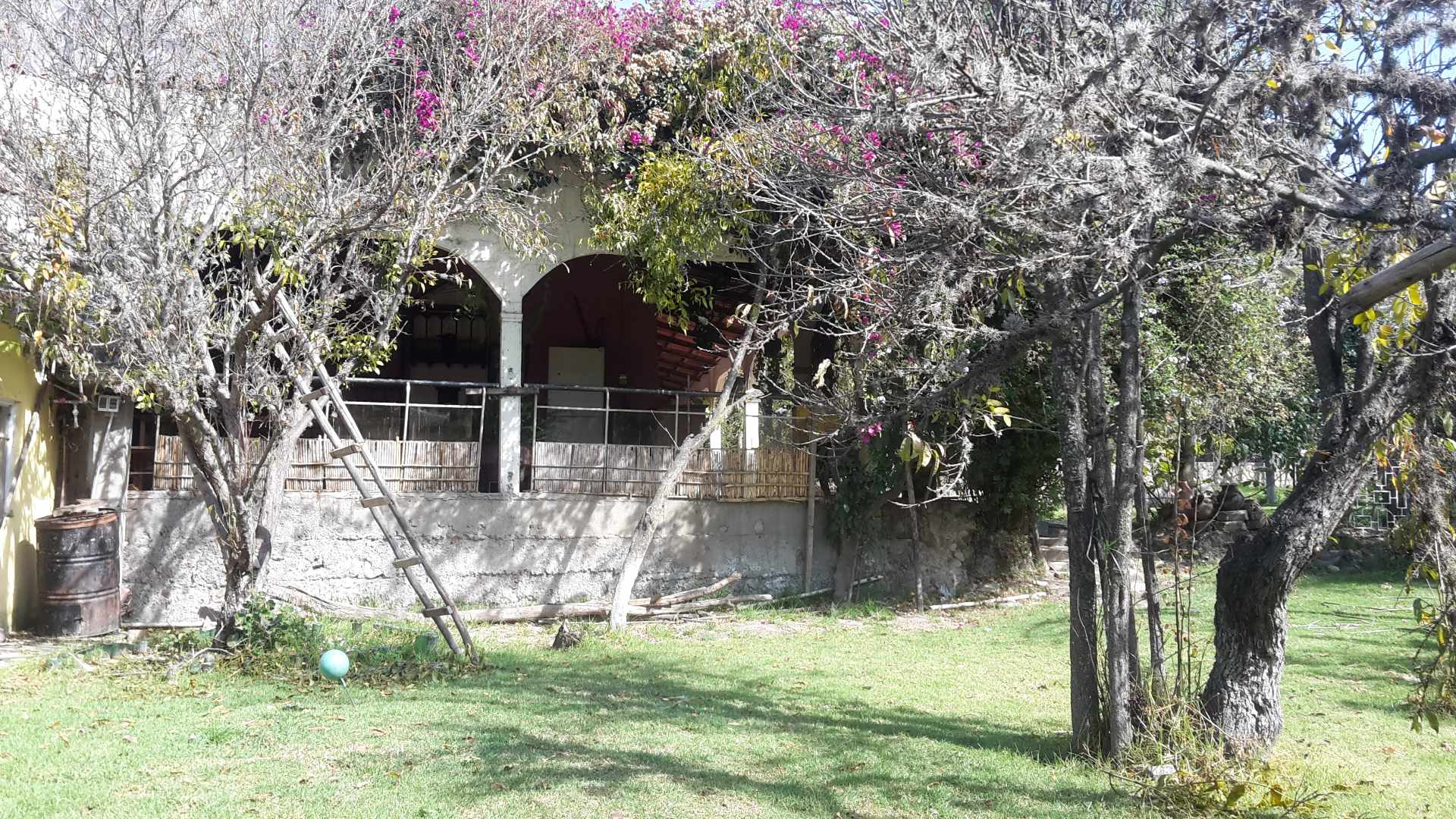 Casa EL PALOMAR Casa de Campo con arboles frutales a 50 minutos de la Zona Sur Foto 3
