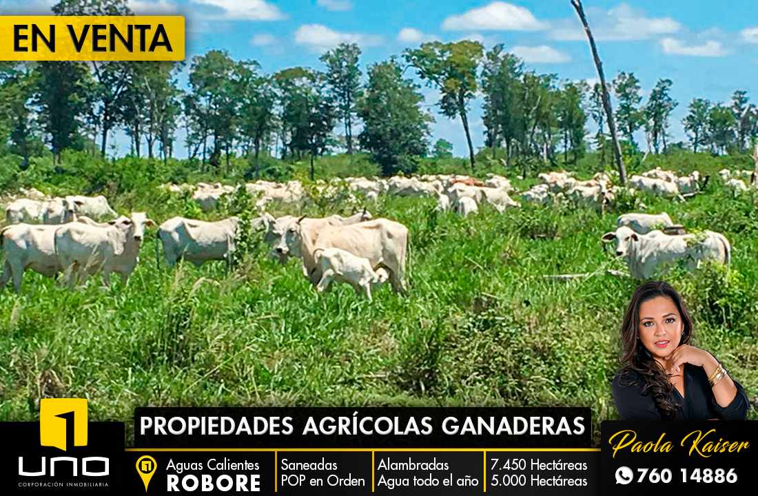 Quinta propiedad agrícola en VentaRobore - Aguas Calientes Foto 1