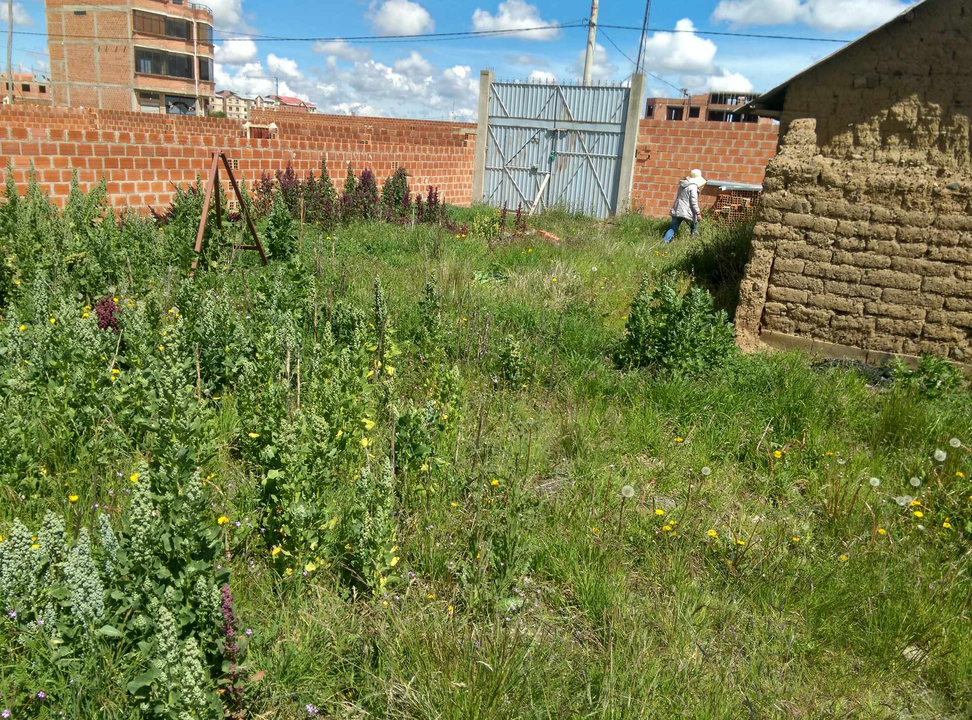 Terreno en La Ceja en El Alto    Foto 1