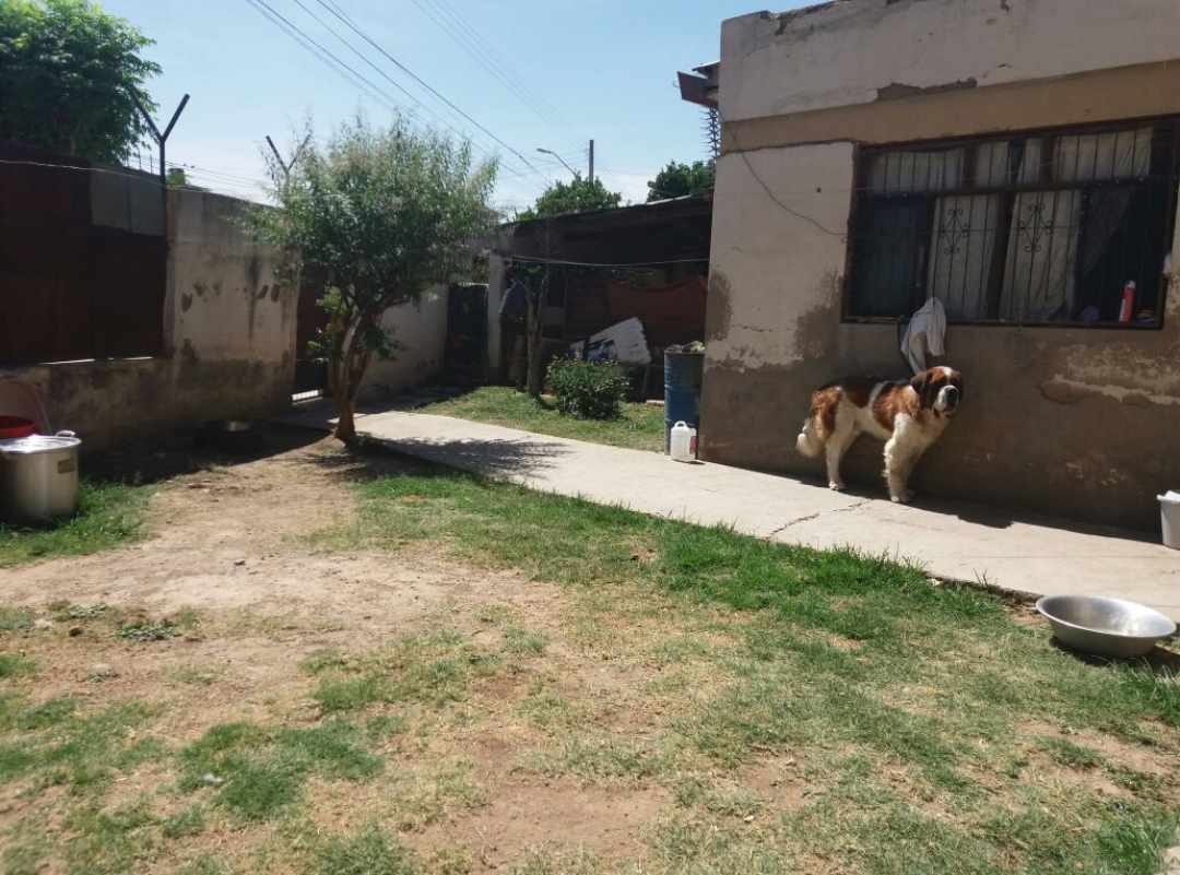 Casa en VentaMelchor Pérez de Olguin  Foto 3